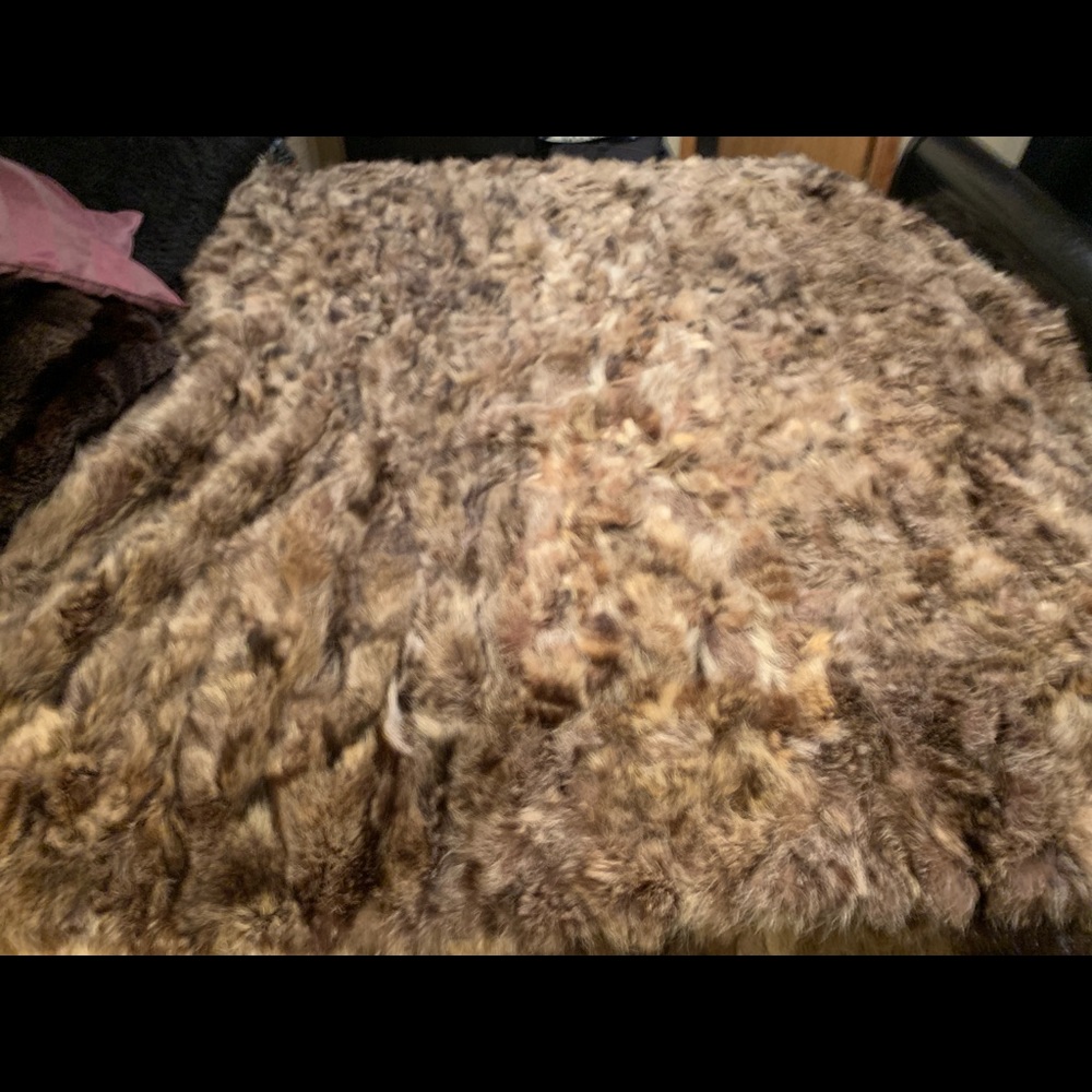 Queen-size raccoon blanket or rug